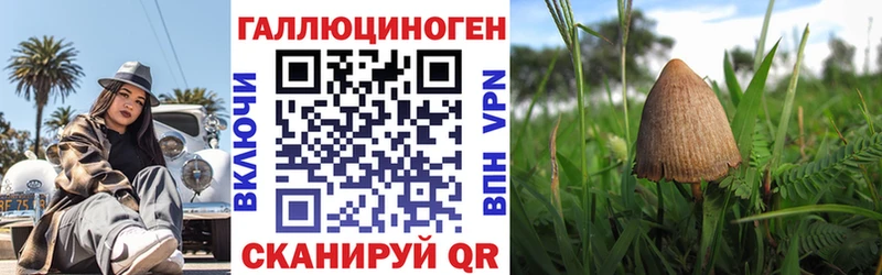 Псилоцибиновые грибы GOLDEN TEACHER  закладка  Чулым 